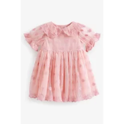 Next Robe En Dentelle Pour Les Grandes Occasions -Velousia Soldes Boutique e8bc27458dae69265cd3e48a429b297a